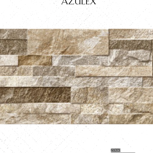 #azulex1669